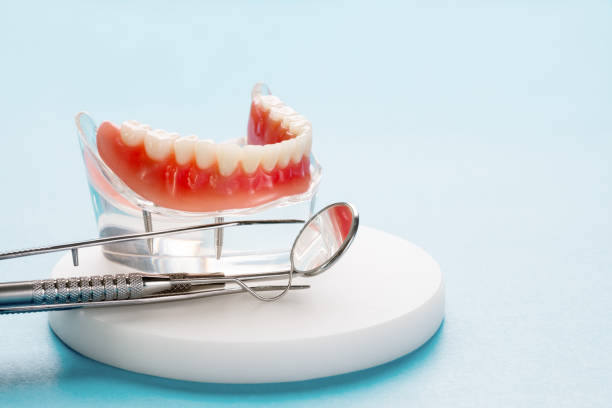 Best Preventive Dentistry  in Glenwood, MN